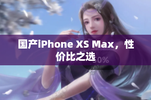 国产iPhone XS Max，性价比之选