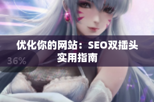 优化你的网站：SEO双插头实用指南