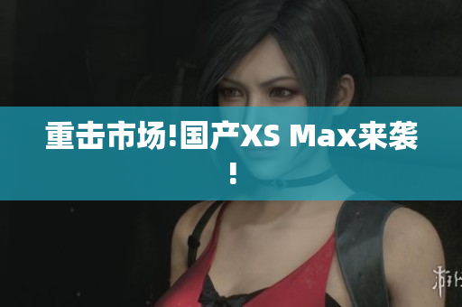 重击市场!国产XS Max来袭!