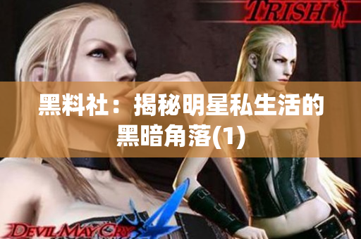 黑料社：揭秘明星私生活的黑暗角落(1)