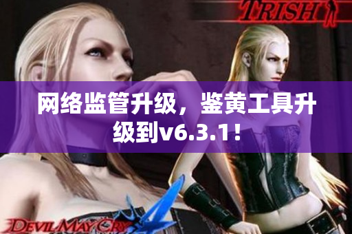 网络监管升级，鉴黄工具升级到v6.3.1！