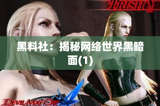 黑料社：揭秘网络世界黑暗面(1)