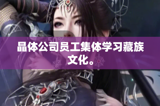晶体公司员工集体学习藏族文化。