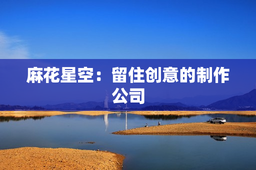 麻花星空：留住创意的制作公司