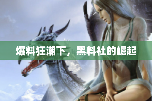 爆料狂潮下，黑料社的崛起