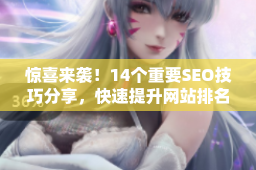 惊喜来袭！14个重要SEO技巧分享，快速提升网站排名！