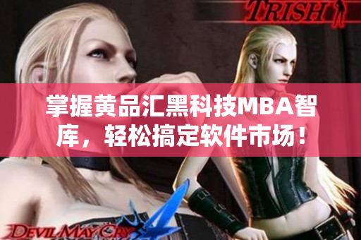 掌握黄品汇黑科技MBA智库，轻松搞定软件市场！