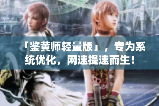 「鉴黄师轻量版」，专为系统优化，网速提速而生！
