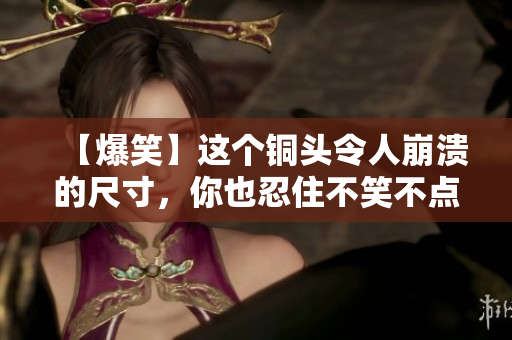 【爆笑】这个铜头令人崩溃的尺寸，你也忍住不笑不点开看看？