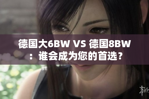 德国大6BW VS 德国8BW：谁会成为您的首选？