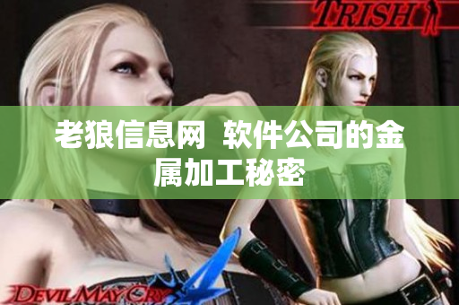 老狼信息网  软件公司的金属加工秘密