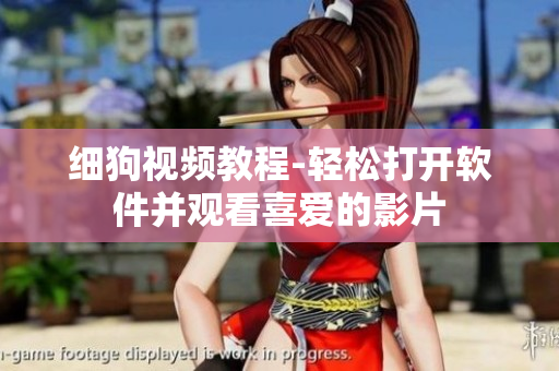 细狗视频教程-轻松打开软件并观看喜爱的影片