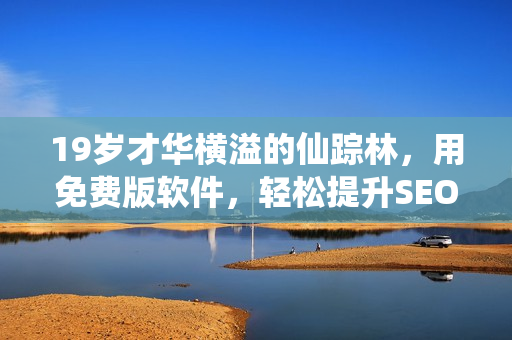 19岁才华横溢的仙踪林，用免费版软件，轻松提升SEO排名