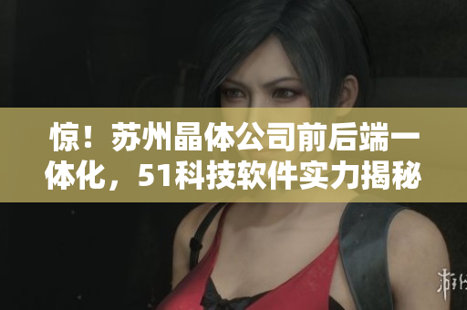 惊！苏州晶体公司前后端一体化，51科技软件实力揭秘！