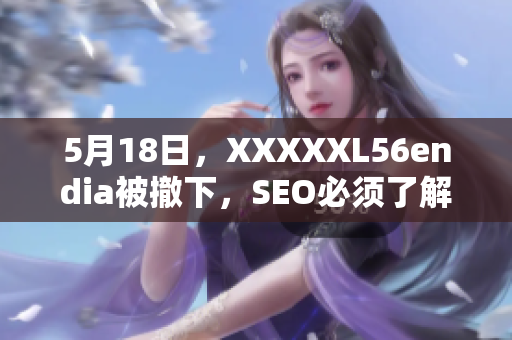 5月18日，XXXXXL56endia被撤下，SEO必须了解的重要信息！