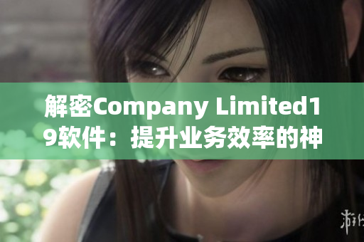 解密Company Limited19软件：提升业务效率的神器