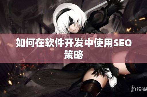 如何在软件开发中使用SEO策略