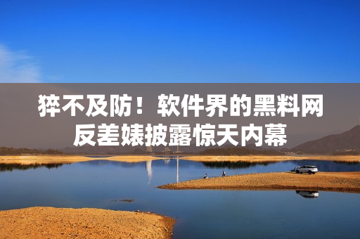 猝不及防！软件界的黑料网反差婊披露惊天内幕