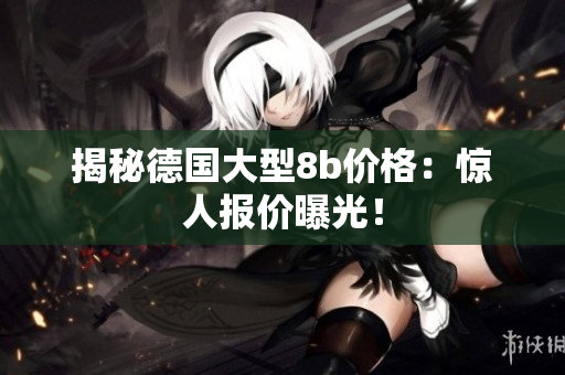 揭秘德国大型8b价格：惊人报价曝光！