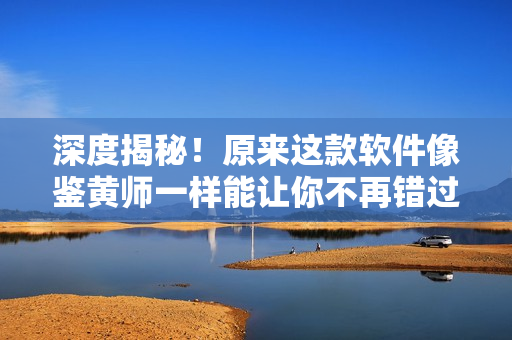 深度揭秘！原来这款软件像鉴黄师一样能让你不再错过任何隐秘细节！