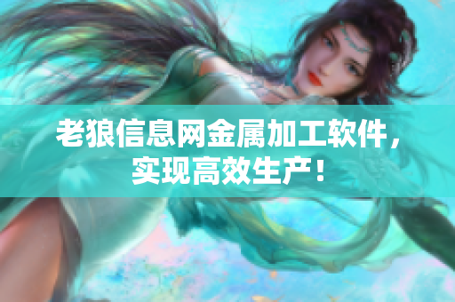 老狼信息网金属加工软件，实现高效生产！