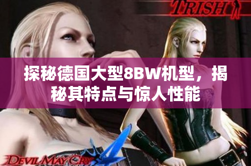 探秘德国大型8BW机型，揭秘其特点与惊人性能