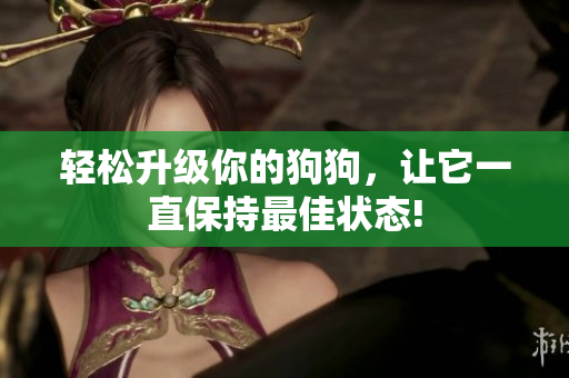 轻松升级你的狗狗，让它一直保持最佳状态!