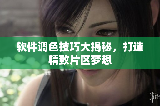 软件调色技巧大揭秘，打造精致片区梦想