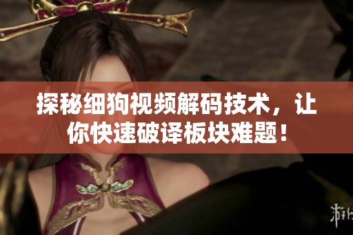 探秘细狗视频解码技术，让你快速破译板块难题！