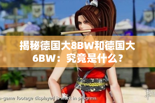 揭秘德国大8BW和德国大6BW：究竟是什么？