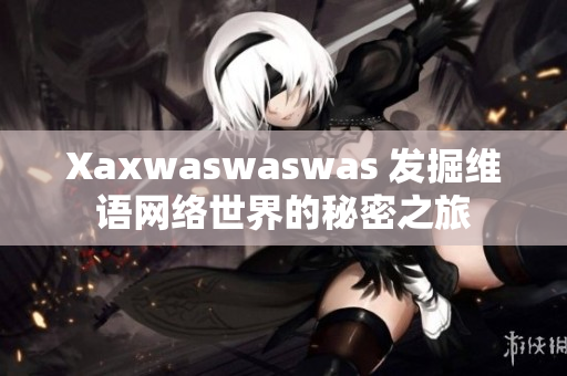 Xaxwaswaswas 发掘维语网络世界的秘密之旅