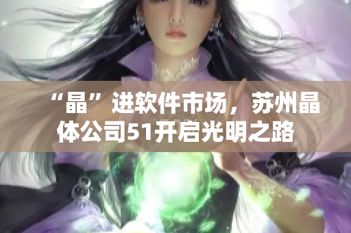“晶”进软件市场，苏州晶体公司51开启光明之路