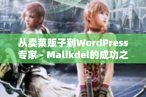 从卖菜贩子到WordPress专家 - Malikdel的成功之路
