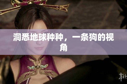 洞悉地球种种，一条狗的视角