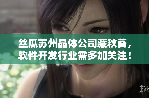 丝瓜苏州晶体公司藏秋葵，软件开发行业需多加关注！