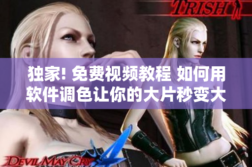 独家! 免费视频教程 如何用软件调色让你的大片秒变大片