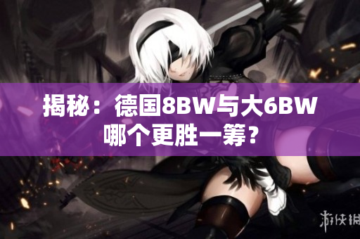 揭秘：德国8BW与大6BW哪个更胜一筹？