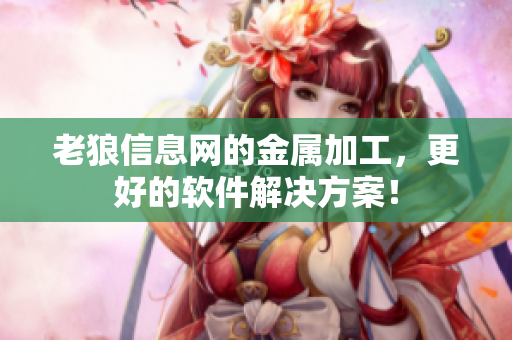 老狼信息网的金属加工，更好的软件解决方案！