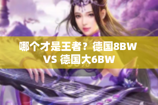 哪个才是王者？德国8BW VS 德国大6BW