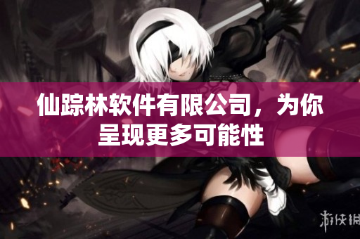 仙踪林软件有限公司，为你呈现更多可能性