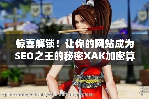惊喜解锁！让你的网站成为SEO之王的秘密XAK加密算法
