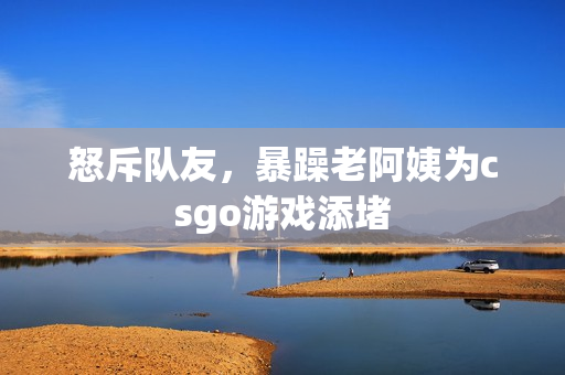 怒斥队友，暴躁老阿姨为csgo游戏添堵