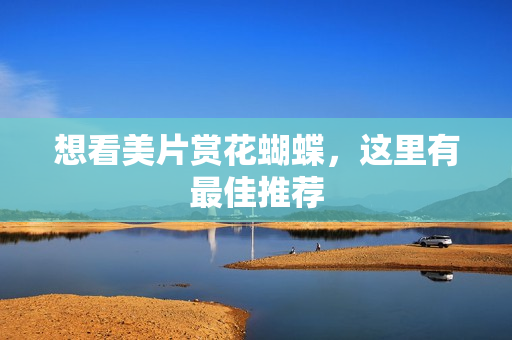 想看美片赏花蝴蝶，这里有最佳推荐