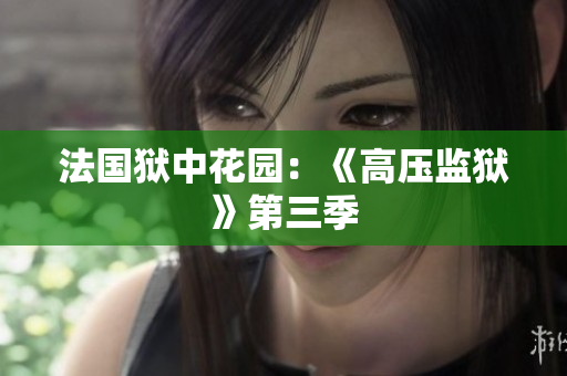 法国狱中花园：《高压监狱》第三季