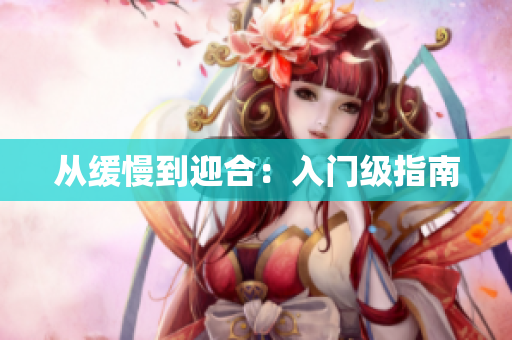 从缓慢到迎合：入门级指南