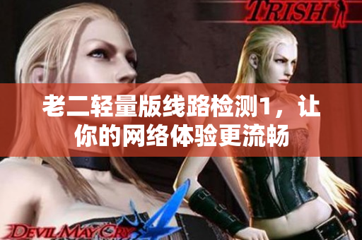老二轻量版线路检测1，让你的网络体验更流畅