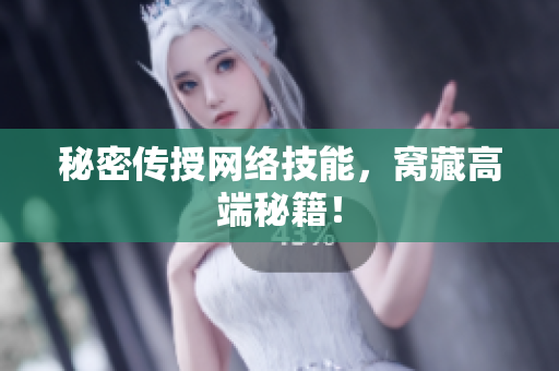 秘密传授网络技能，窝藏高端秘籍！