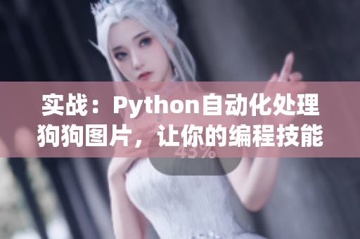 实战：Python自动化处理狗狗图片，让你的编程技能更上一层楼