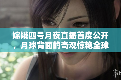 嫦娥四号月夜直播首度公开，月球背面的奇观惊艳全球