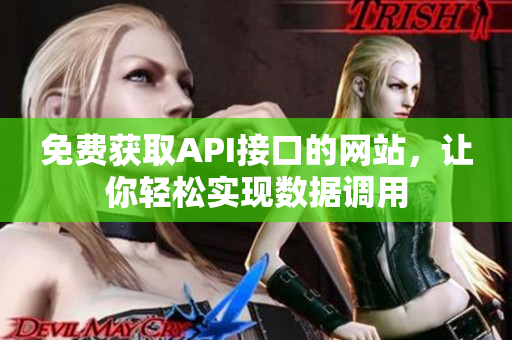免费获取API接口的网站，让你轻松实现数据调用